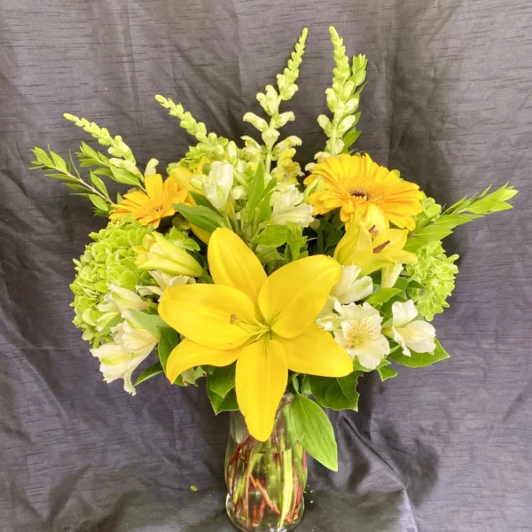 Lovely Lily
