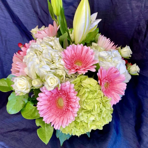 Soft & Pretty